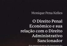 O Direito penal econômico e sua relação com o direito administrativo sancionador