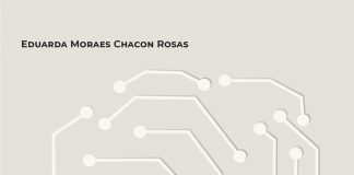 Inteligência artificial: regulação ética a partir das regras de proteção dos dados pessoais