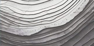 A Proibição de Retrocesso Social e o Controle Judicial de Políticas Públicas